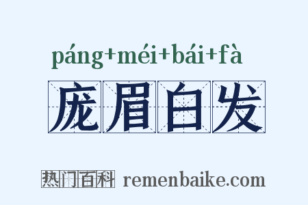 庞眉白发是什么意思的图片